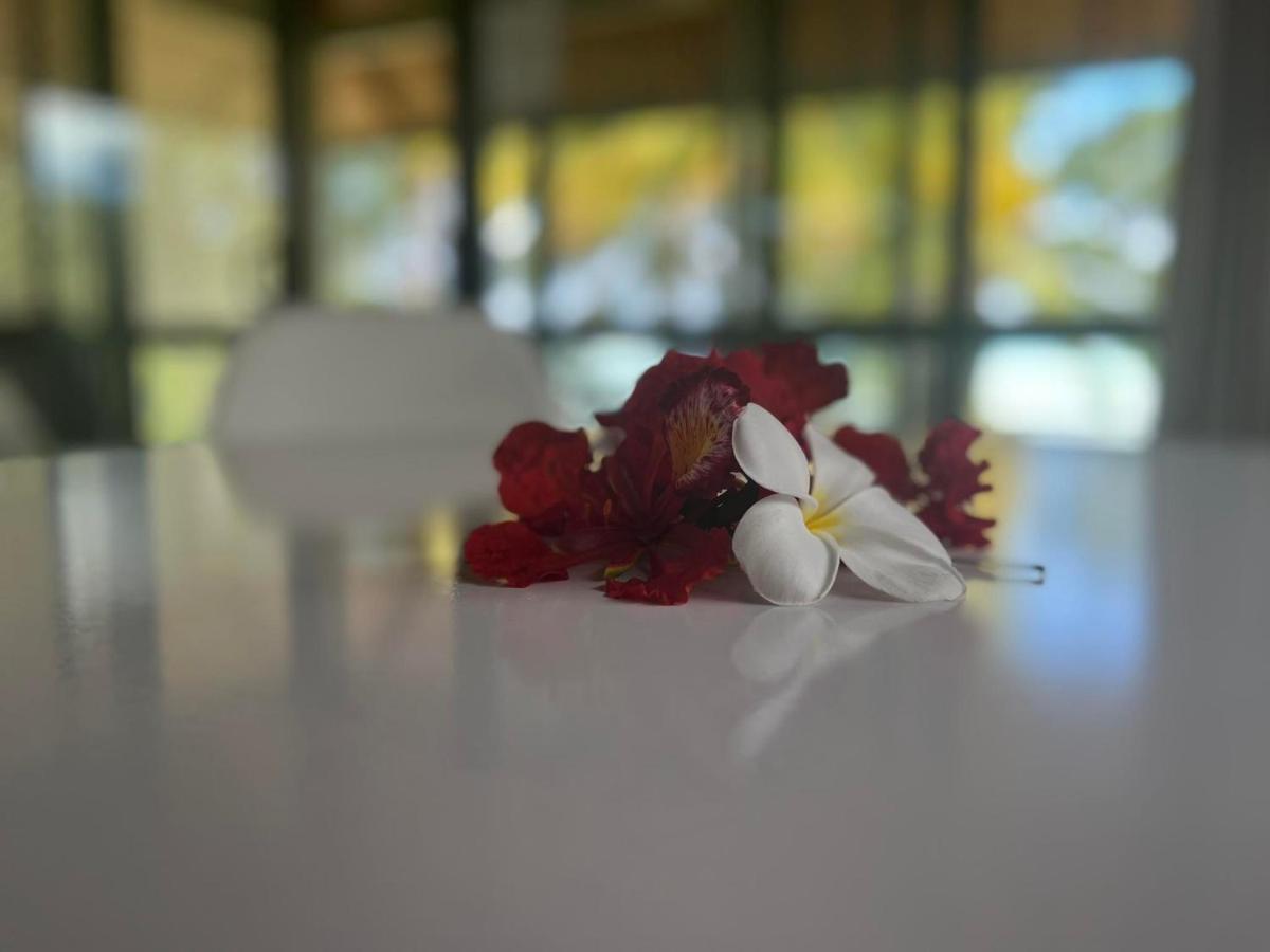 Paparei Beachfront Bungalows, Aitutaki アルタンガ エクステリア 写真